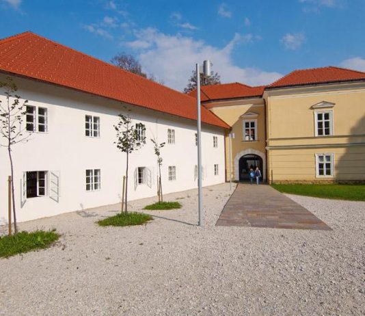 Evropska unija v stripu