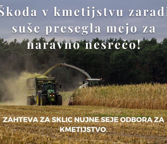 Kmetje bi morali dobiti finančno nadomestilo zaradi suše