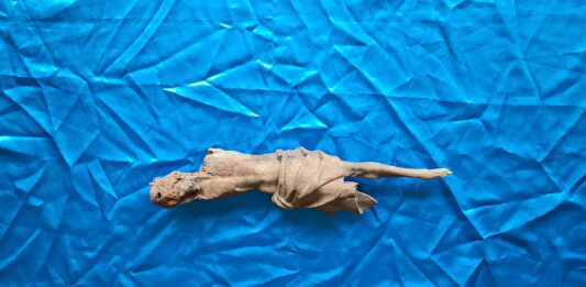 Odprtje razstave Aphra Tesla