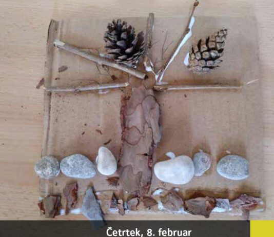 Brezplačna delavnica ‘Spoznajmo sonaravni gozd’ v Muzeju Radlje ob Dravi