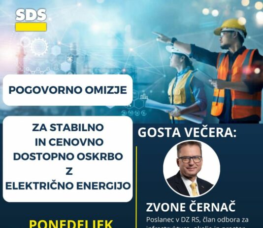 Pogovorno omizje z naslovom ‘Za stabilno in cenovno dostopno oskrbo z električno energijo’