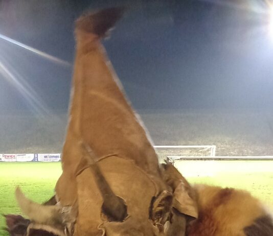 Začenja se ‘Tek parkljev-Krampuslauf’