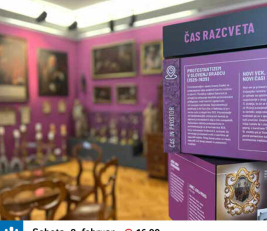 Javno vodstvo Kulturno popoldne v Sokličevi zbirki / Prešernov dan