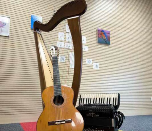 Oskar jež s strunami in harmoniko v svetu čustev