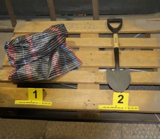 Sedem Romunov kradlo v ravenskem podjetju