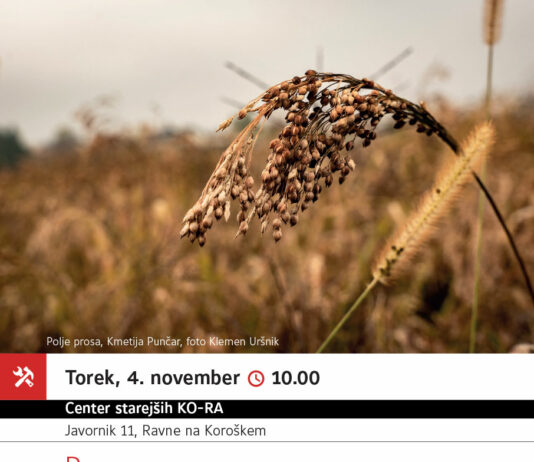 Proso / izkustvena delavnica