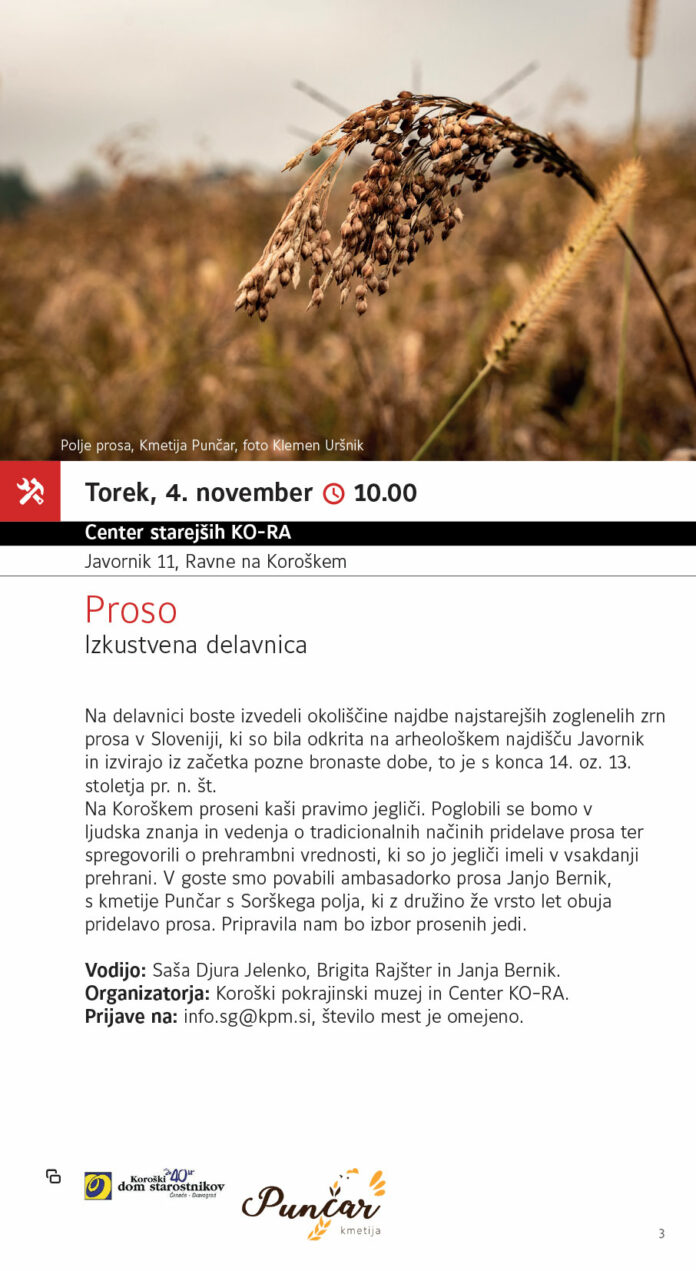 Vabilo_Proso izkustvena delavnica