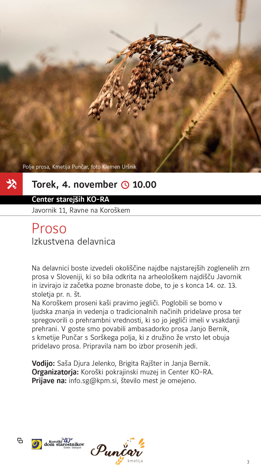Proso / izkustvena delavnica