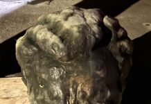 Velenjska policista danes ponoči ustavila voznika, ki je imel v vozilu glavo bronaste skulpture Josipa Broza Tita