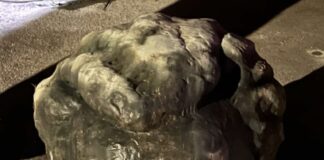 Velenjska policista danes ponoči ustavila voznika, ki je imel v vozilu glavo bronaste skulpture Josipa Broza Tita