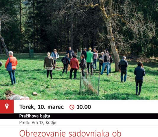 Obrezovanje sadovnjaka ob Prežihovi bajti