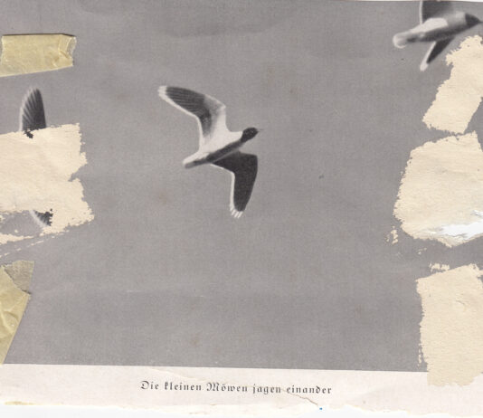 Razstava Tadeja Vaukmana Dober sin – Milan in njegova kisla juha