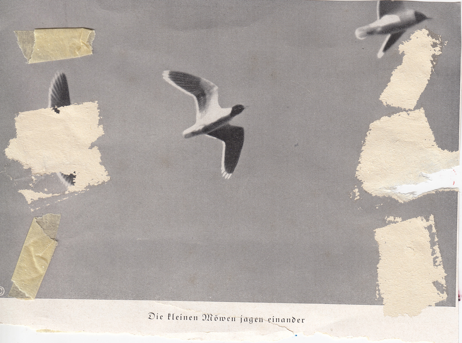 Razstava Tadeja Vaukmana Dober sin – Milan in njegova kisla juha