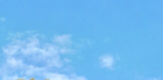 “Ta ekipa ima sigurno kvaliteto za sam vrh v tretjeligaški konkurenci”