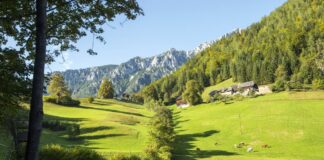 Tudi številni koroški kmetje bi lahko dobili letni in zimski dodatek