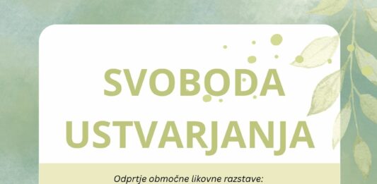 Svoboda ustvarjanja – območna likovna razstava